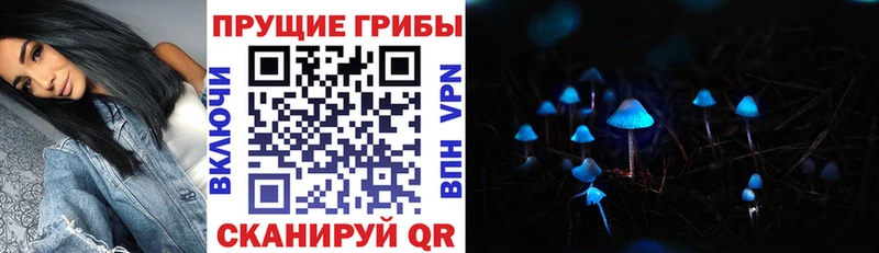 даркнет сайт  Отрадная  ссылка на мегу вход  Псилоцибиновые грибы Magic Shrooms 