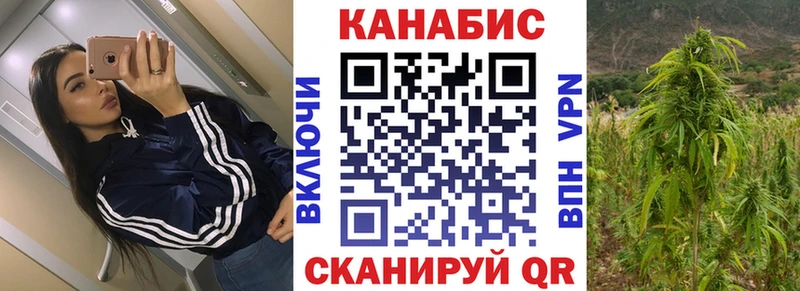 купить наркотики цена  Отрадная  Канабис конопля 